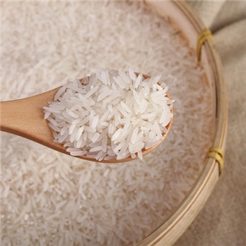 优质 油粘香米 10斤装