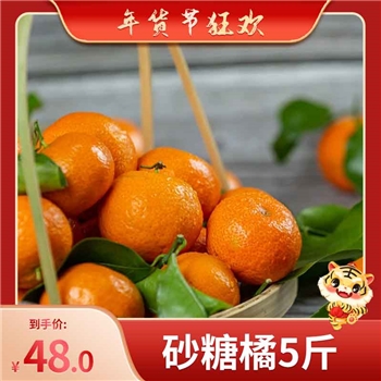 砂糖橘大果5斤装