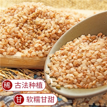 大禾红米