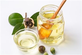 野山茶油礼盒装