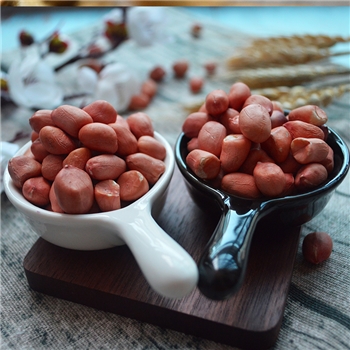 永安红珍珠红子花生